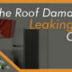 Leaking Skylight Roof Damage