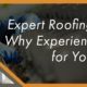 expert roofing services
