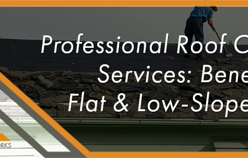professional roof coating services