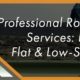 professional roof coating services
