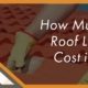 how much does a roof leak repair cost