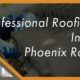 professional roofing advice